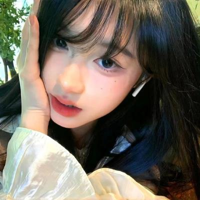 翼龙